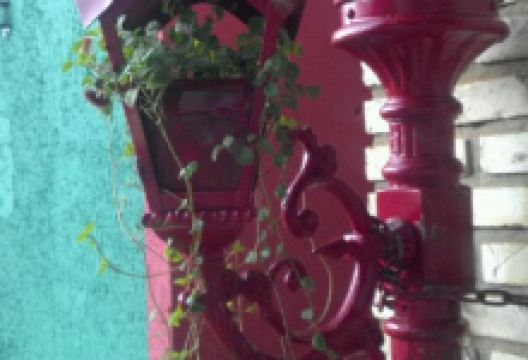 Pomodori Trattoria美食图片