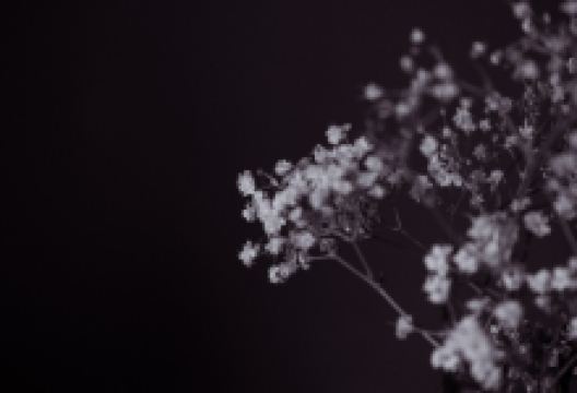 Janey's Coffee House美食图片