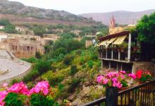 Terraza San Miguel美食图片