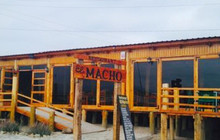 El Macho餐厅图片