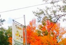 Preuss's Pub美食图片