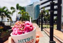 NitroWorld IceCream Shop购物图片