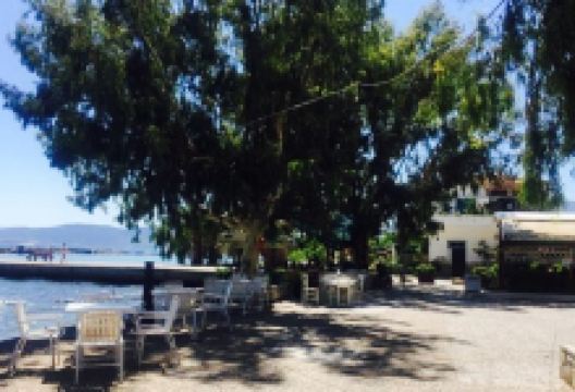 Faros Taverna美食图片