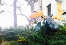 Homer's Cafe美食图片