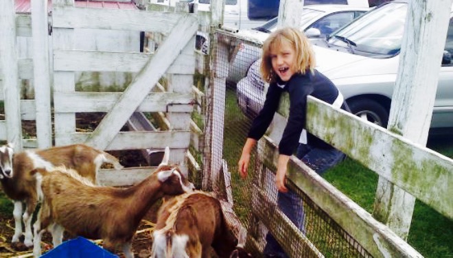 The Orchard Tea Rooms