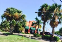 Starbucks美食图片