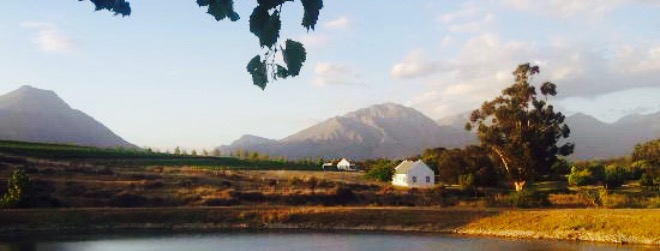 Manley Wine Lodge餐厅图片