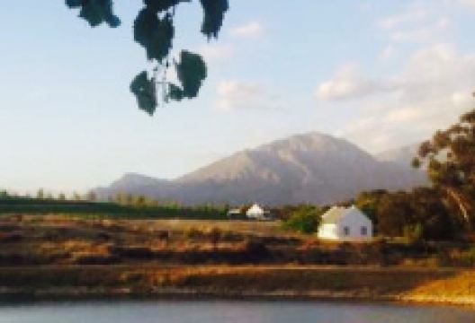 Manley Wine Lodge美食图片