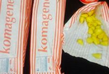 Komagene美食图片