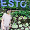 Resto Puncak