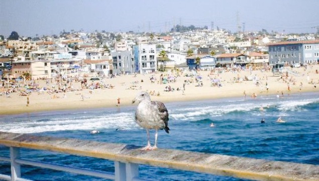 Scotty's on the Strand餐厅图片