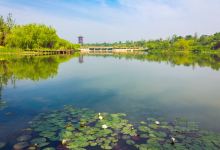 昌乐旅游图片-金宝乐园、白浪绿洲湿地公园亲子1日游