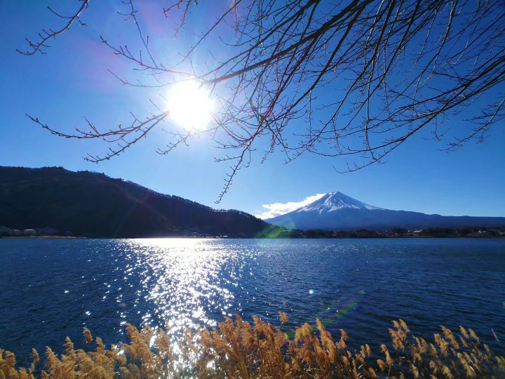 河口湖。富士山
