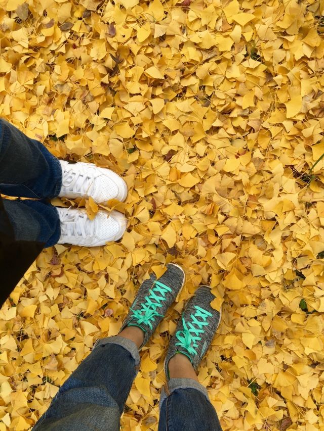 奈良奈良女子大学攻略 奈良奈良女子大学门票 游玩攻略 地址 图片 门票价格 携程攻略