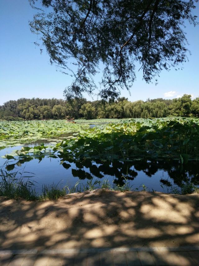 Old Summer Palace