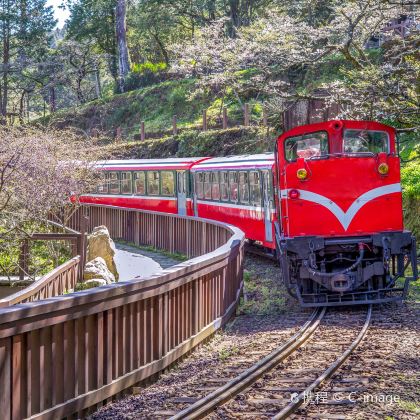 台湾阿里山风景区+观日小火车+奋起湖老街日游（二＊天一＊晚）