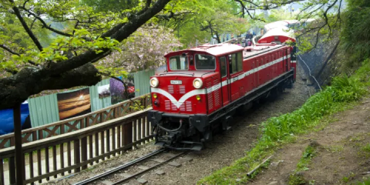 阿里山國家森林遊樂區