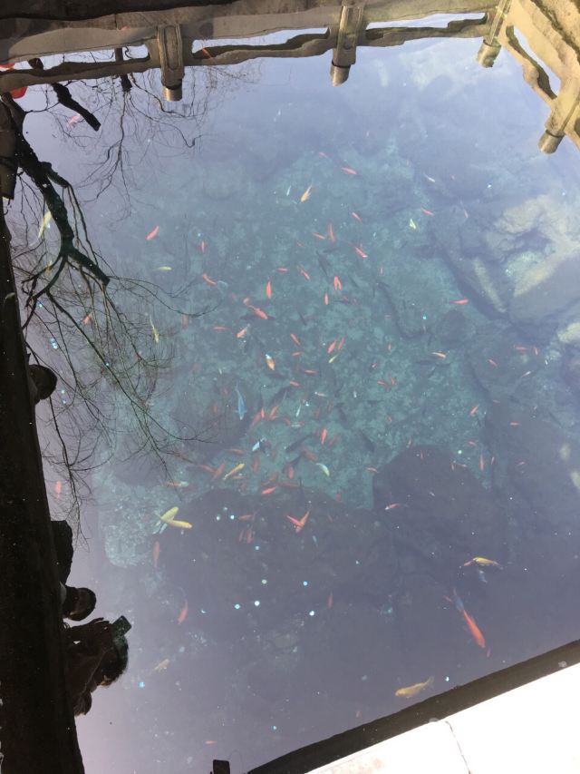 Heihu Spring