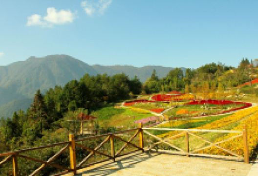 九重花岭景区景点图片