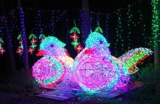 滨湖国家森林公园-合肥-doris圈圈