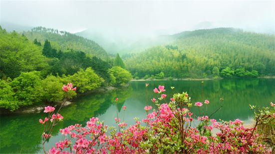 Huangbaishan National Forest Park