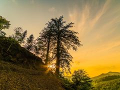 恩施州深度7日游