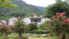 雁南飞茶田景区-桥溪古韵-梅州-doris圈圈