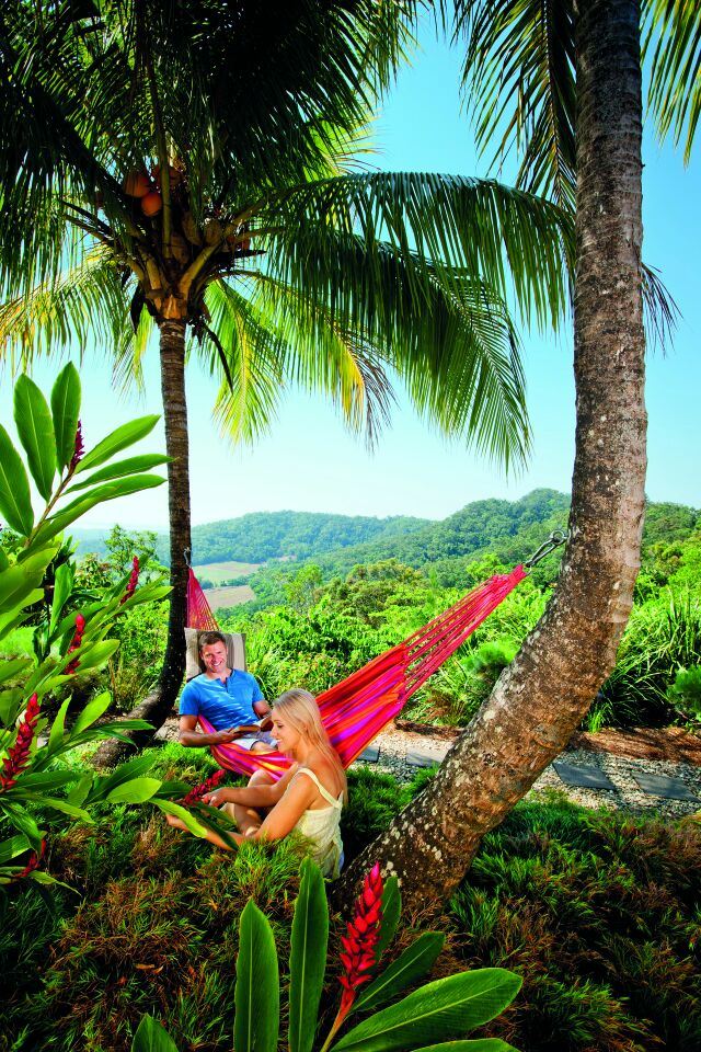 Daintree Rainforest