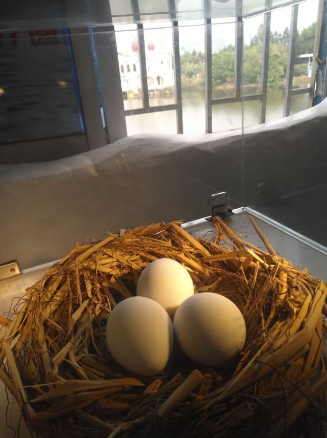 줘하이 해저세계