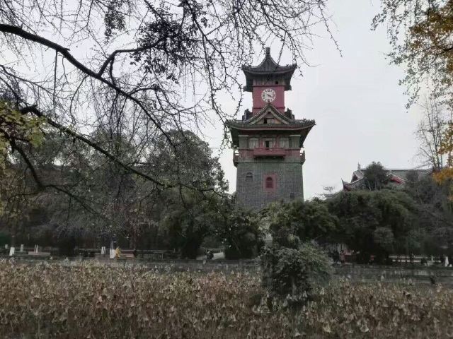 쓰촨 대학교