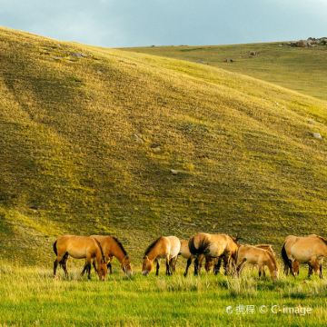 俄罗斯莫斯科+圣彼得堡+贝加尔湖+蒙古18日跟团游