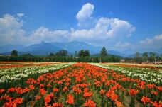 百年好合爱情谷-江油-doris圈圈