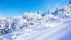 张家口-doris圈圈