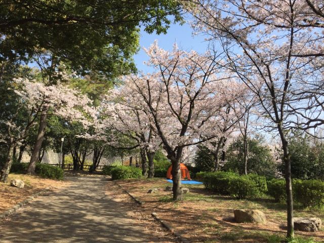 Osaka Castle Park