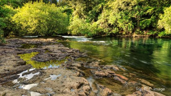 Okere Falls Walk