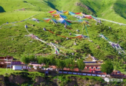 灯塔寺景点图片