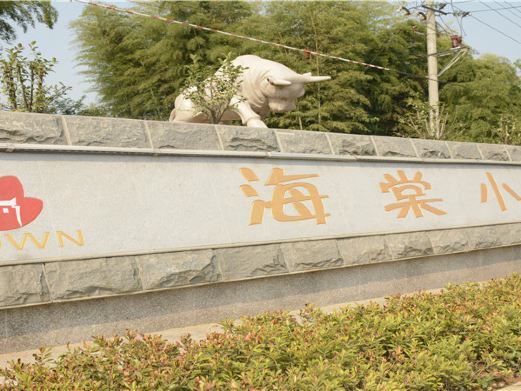 海棠小镇