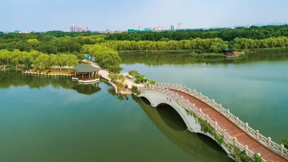 塘沽森林公園