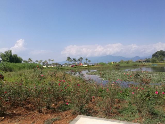 Fuxian Lake Scenic Area