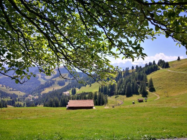 Mt. Rigi