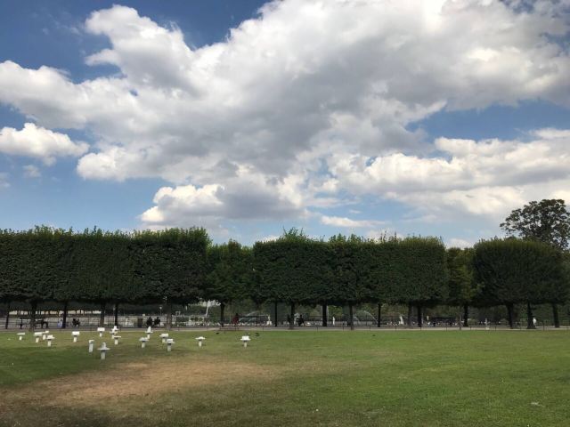 Tuileries Garden