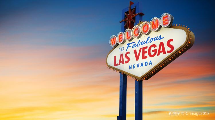 5-Day Grand Canyon + Antelope Canyon Tour Package from Los Angeles·Las Vegas, South&East Rim Grand Canyon, Horseshoe Bend and Lower Antelope Canyon