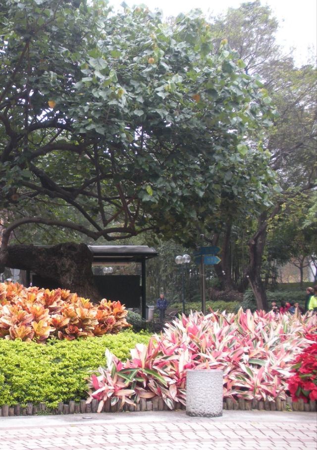 Kowloon Park
