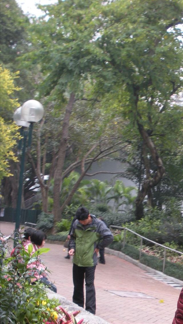 Kowloon Park