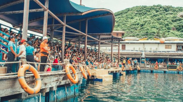 分界洲岛景区-海洋剧场