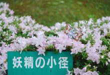 宫泽贤治童话村景点图片