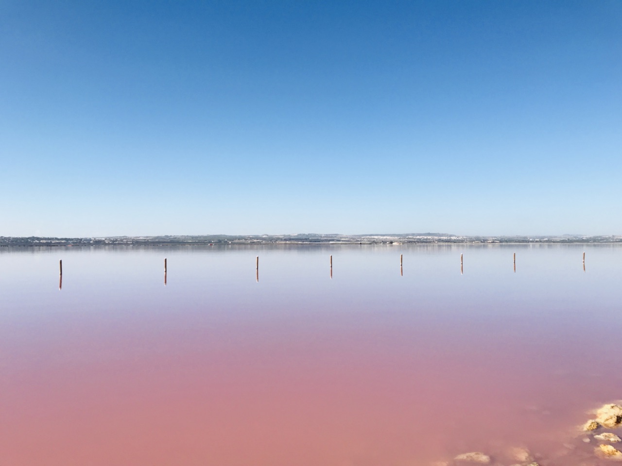 Torrevieja laguna Rosa 粉红湖