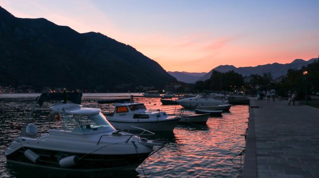 Kotor