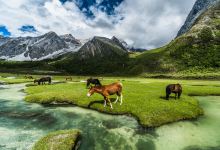 洛绒牛场景点图片