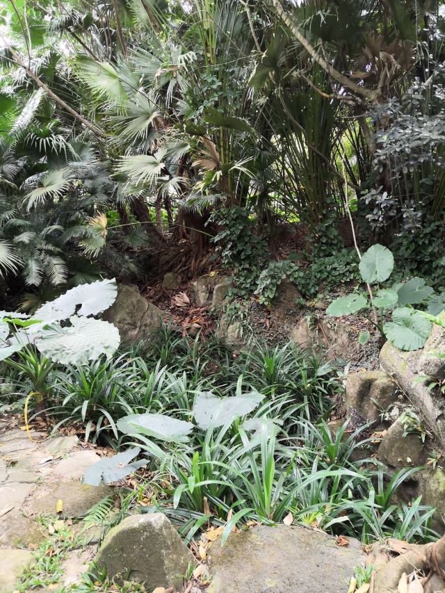Yanoda Rainforest Cultural Tourism Zone